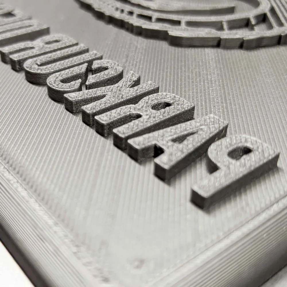 3D Printed Logo 2